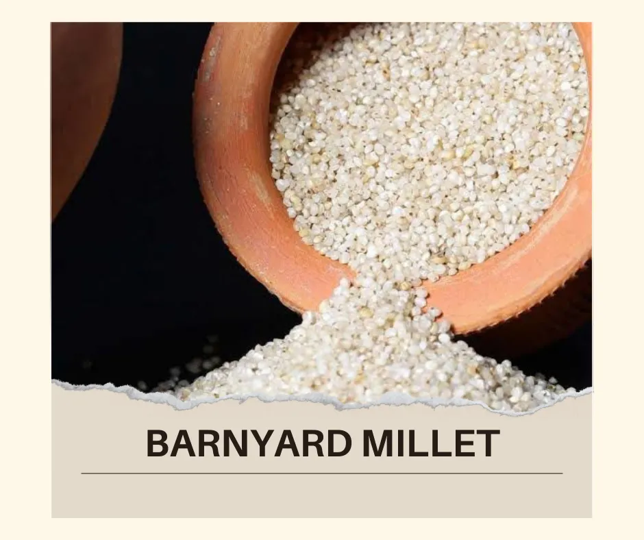 Pearl Millet