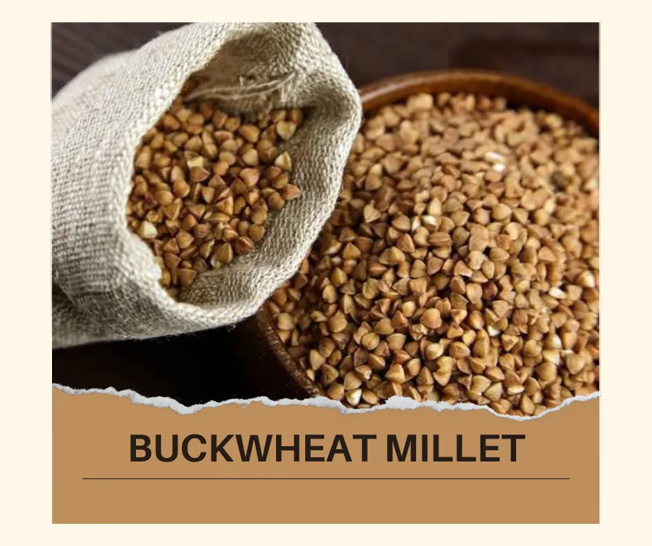 Barnyard Millet