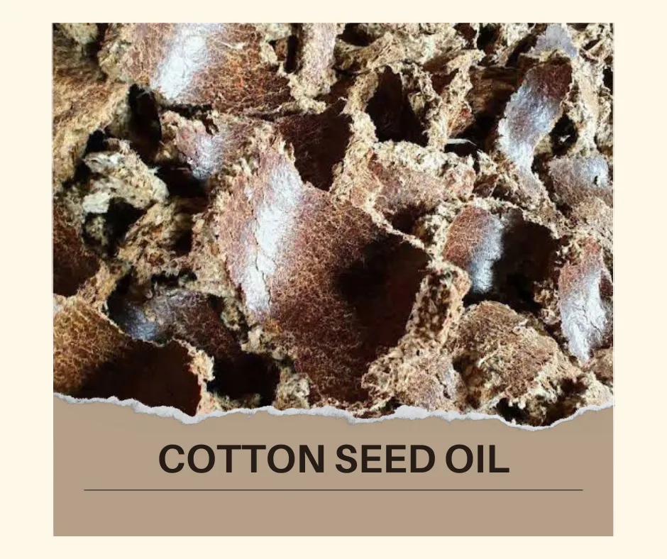 Buckwheat Millet