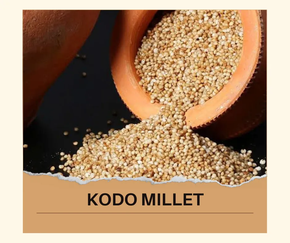 Proso Millet